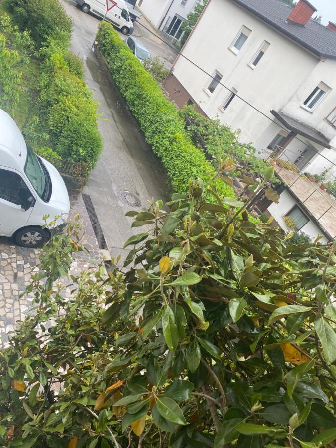 Apartma Magnolija Νόβα Γκόριτσα Εξωτερικό φωτογραφία